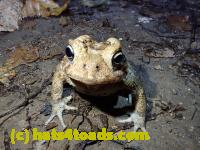 /home//u458753944/public_html/sourcegallery////McKaig Nature Center/2020-10-11/PA110717.JPG